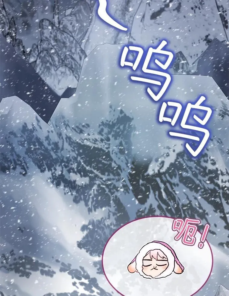 51.抓银狐2