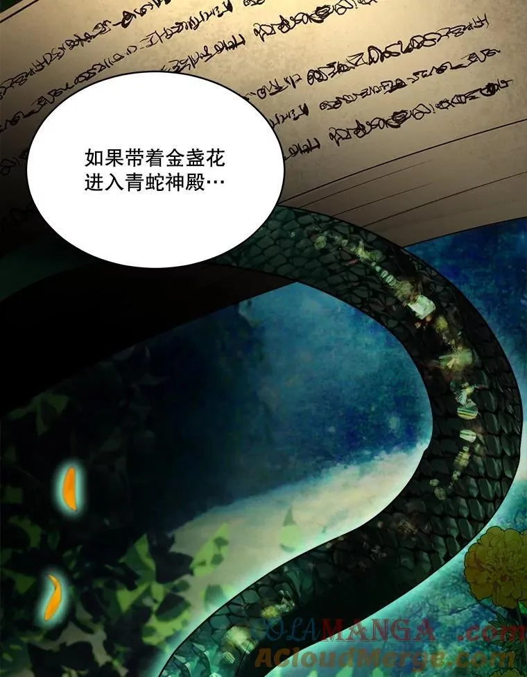 33.巴希拉28