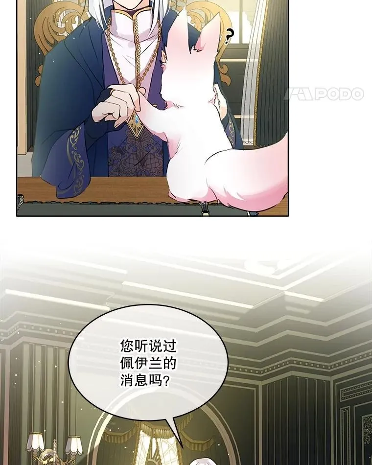 6.佩伊兰20