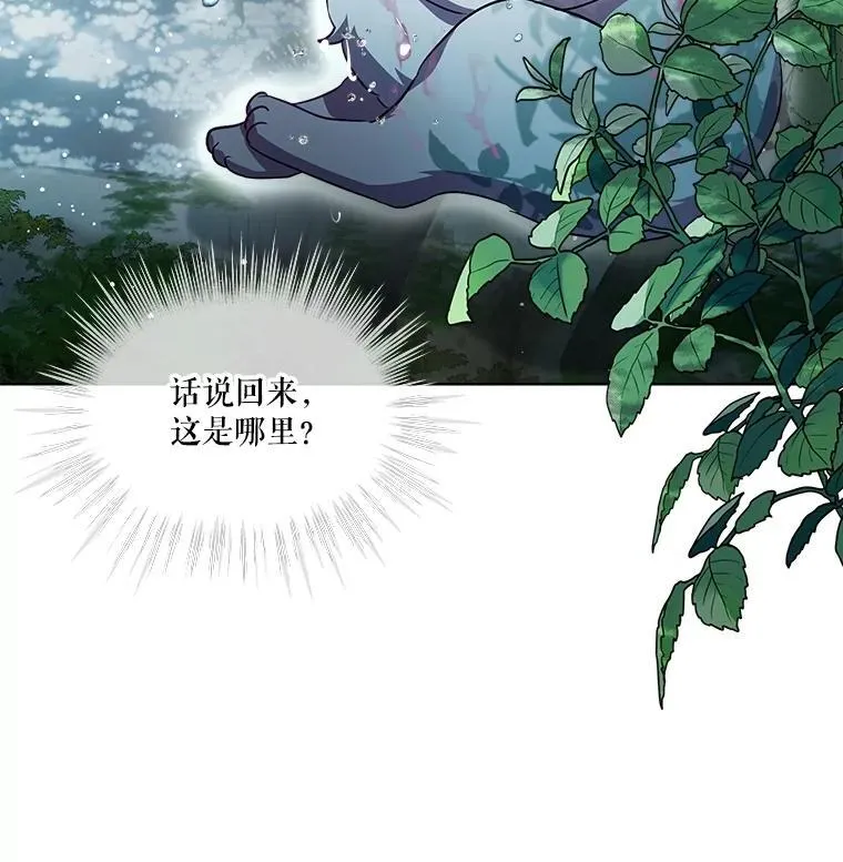 33.巴希拉11