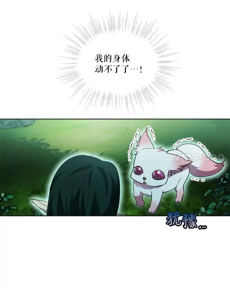 33.巴希拉42