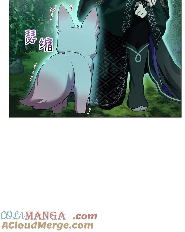 33.巴希拉40
