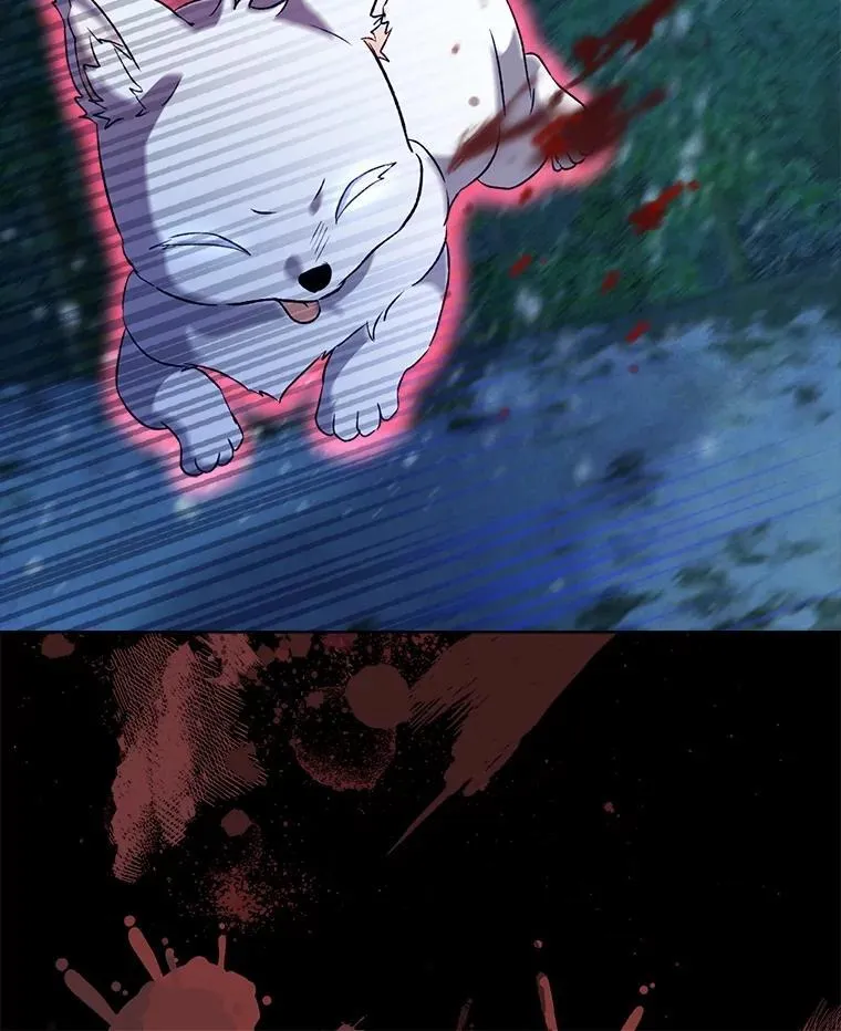 51.抓银狐110