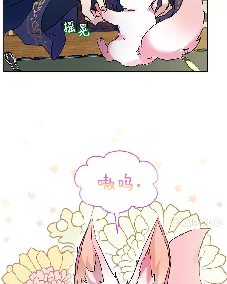 6.佩伊兰16