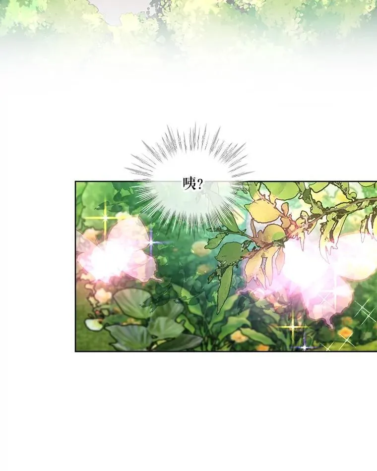 25.精灵38