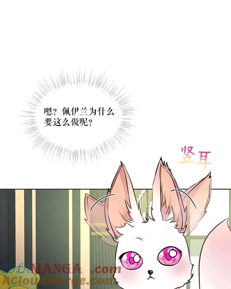 6.佩伊兰87