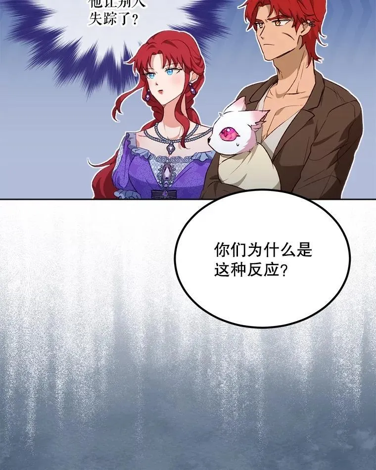 41.贝尔蒙失踪22