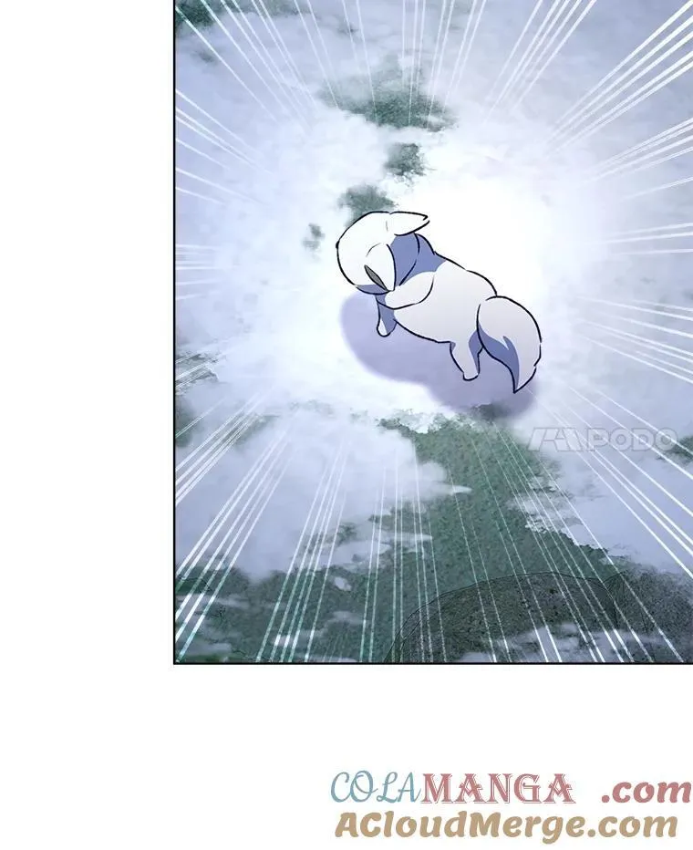 51.抓银狐108
