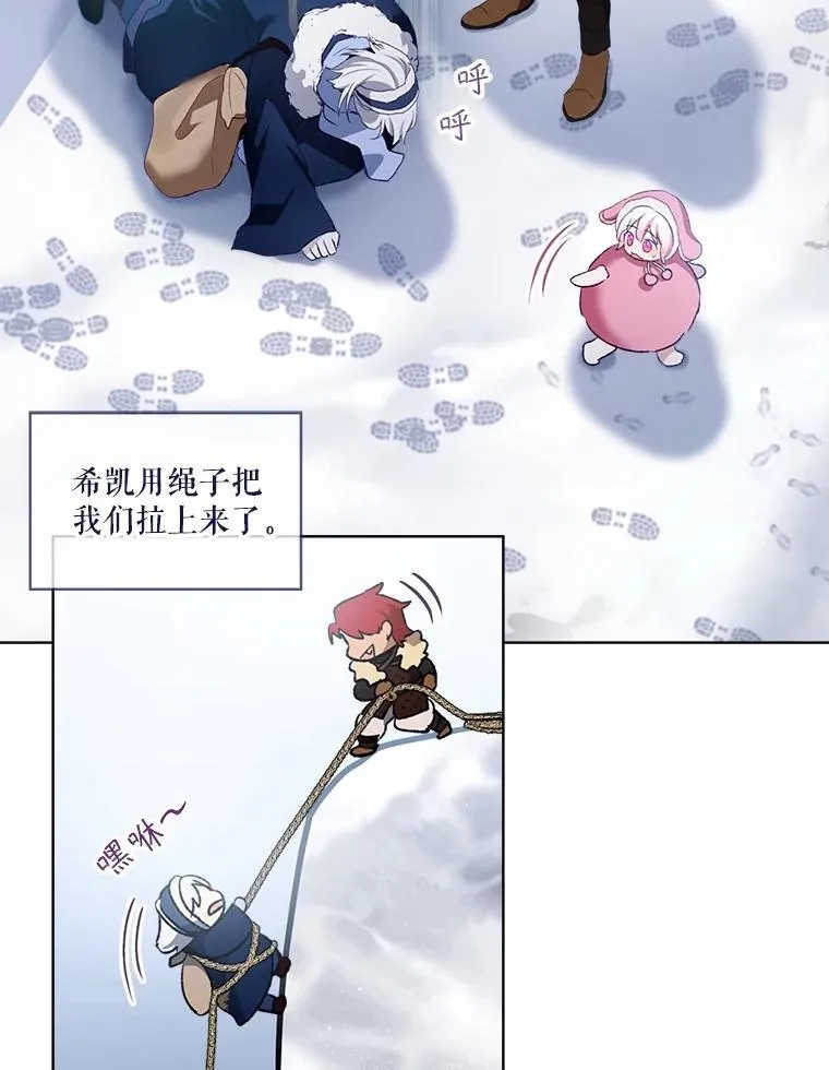 51.抓银狐41