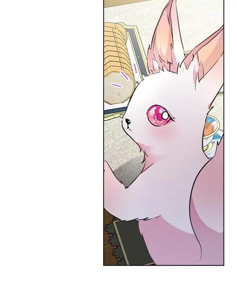 6.佩伊兰22