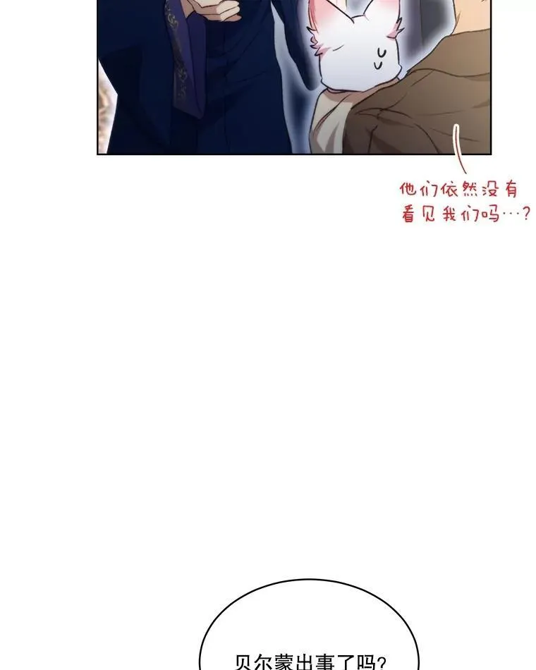 41.贝尔蒙失踪16