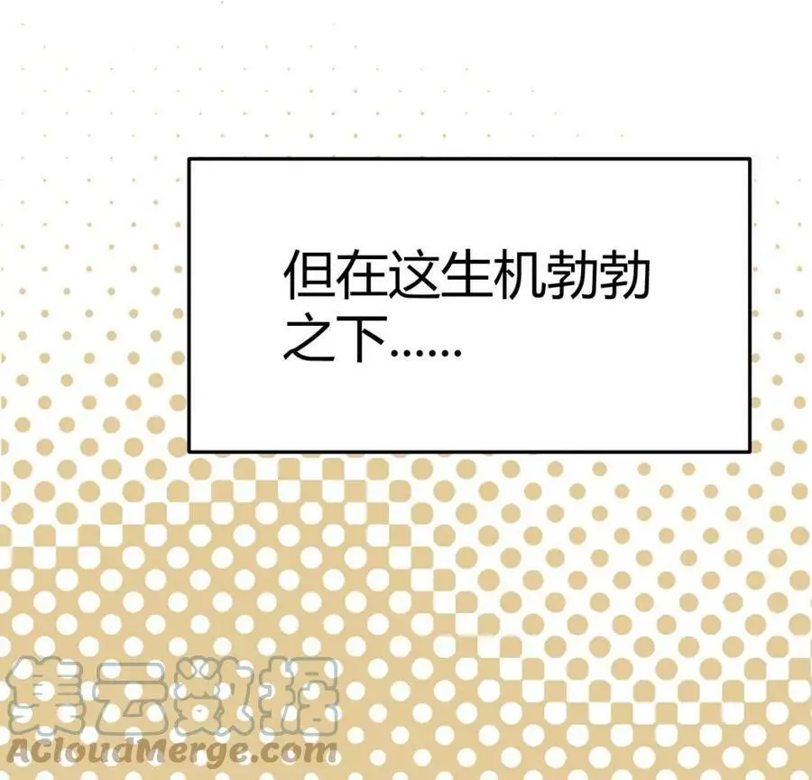 预告42