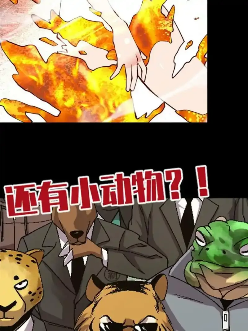 预告11