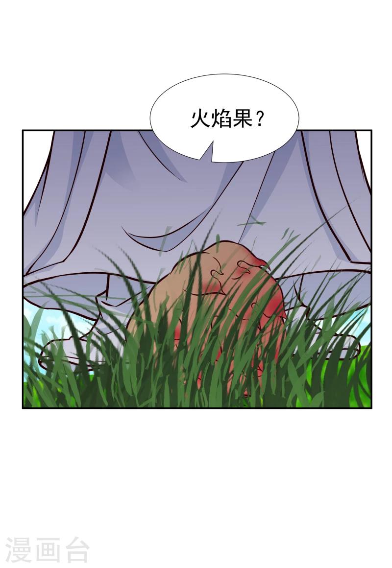 第112话 火焰果30