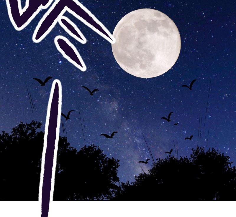 第53回 密探39