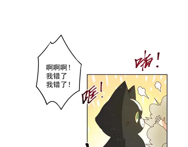 第78回 白月光3