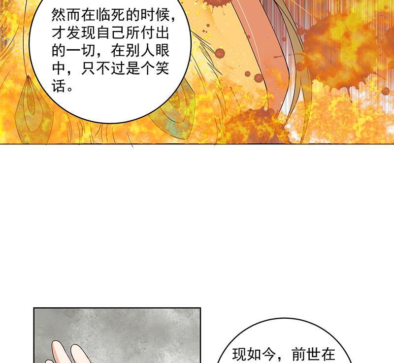 第73回 猴子4