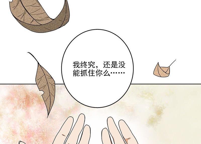第52回 从未喜欢过46