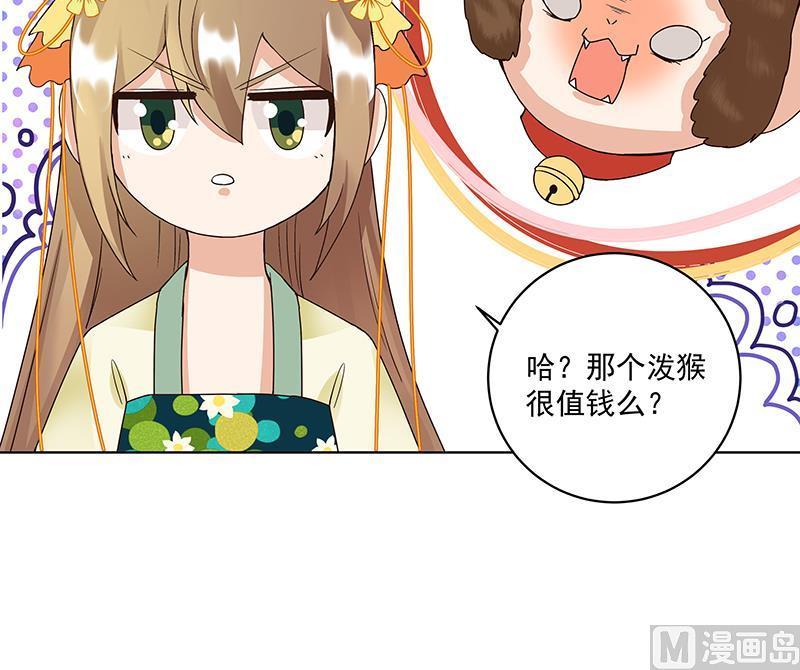 第73回 猴子11