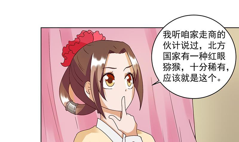 第73回 猴子12