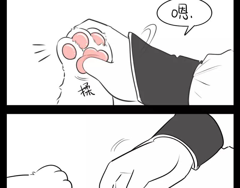 番外 小猫妖11