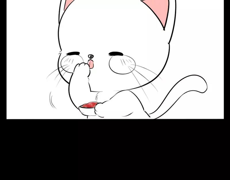 番外 小猫妖14