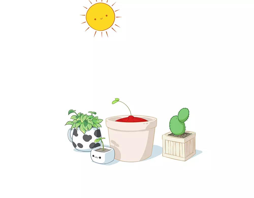 番外 花盆2