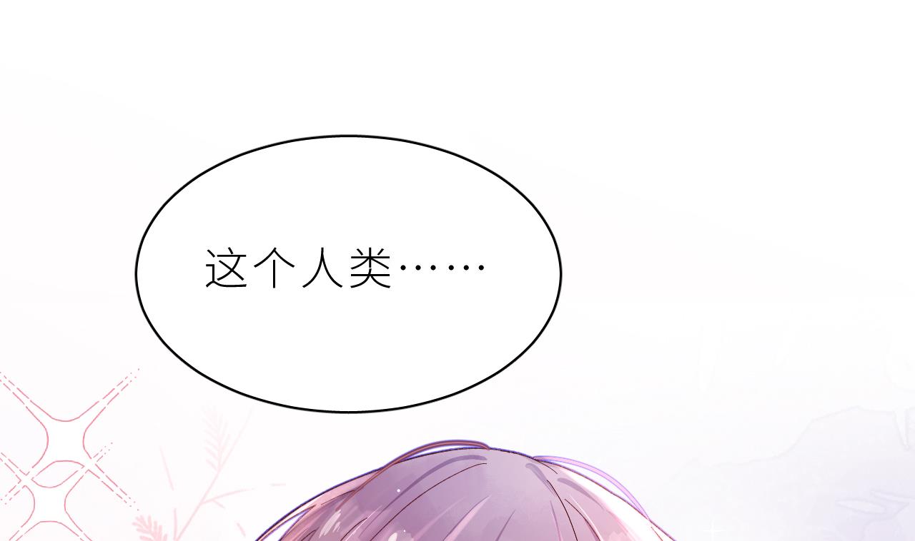 第1话  好看！喜欢！54
