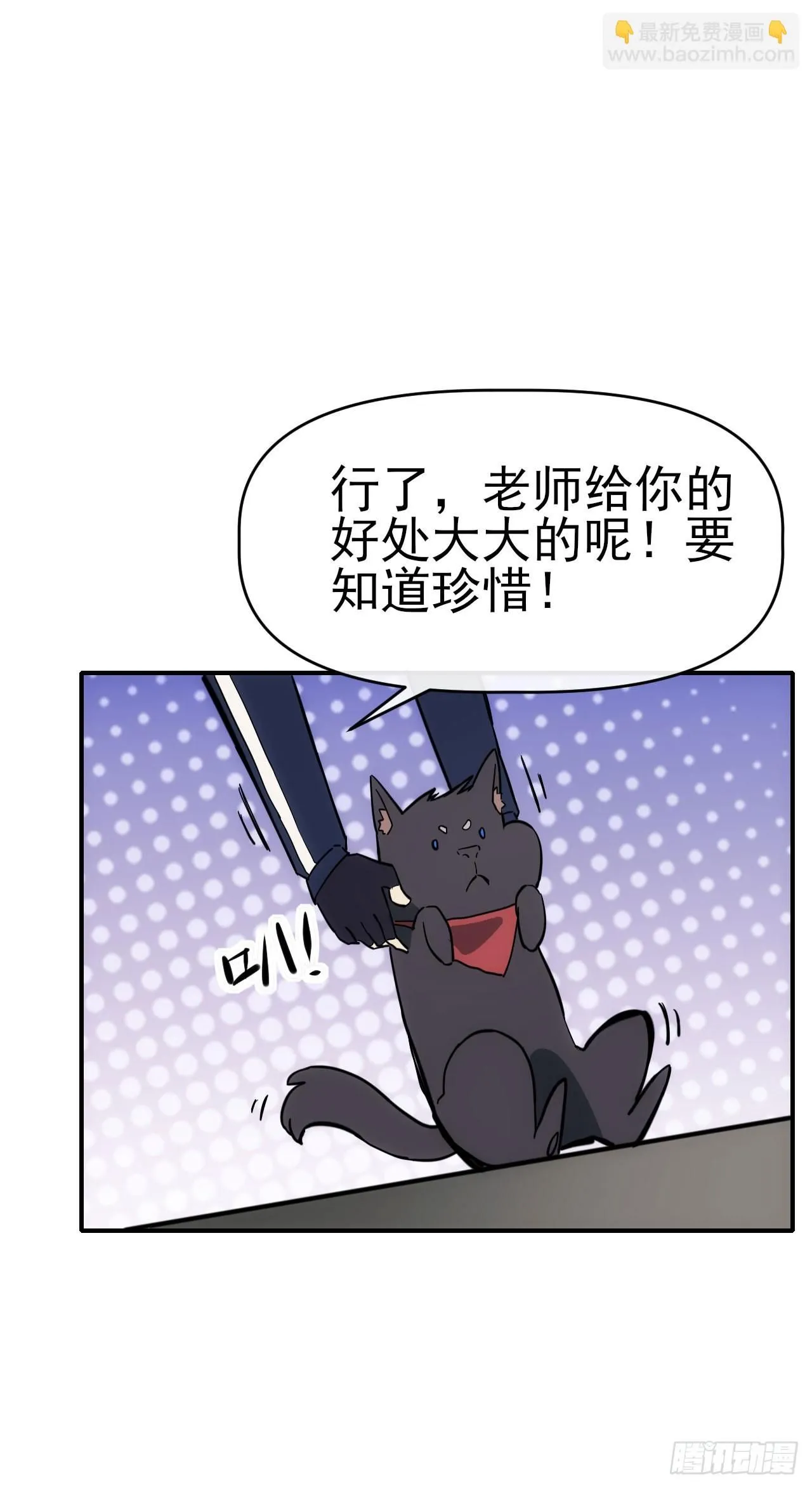 088黑豹落难43