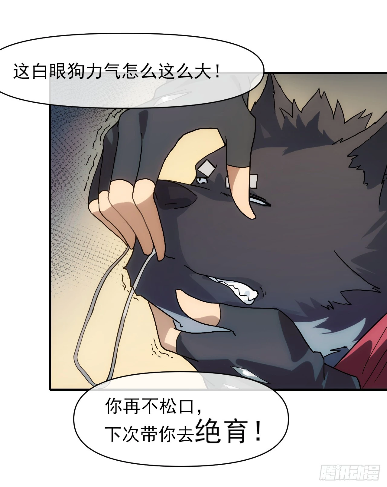 004五禽新书3