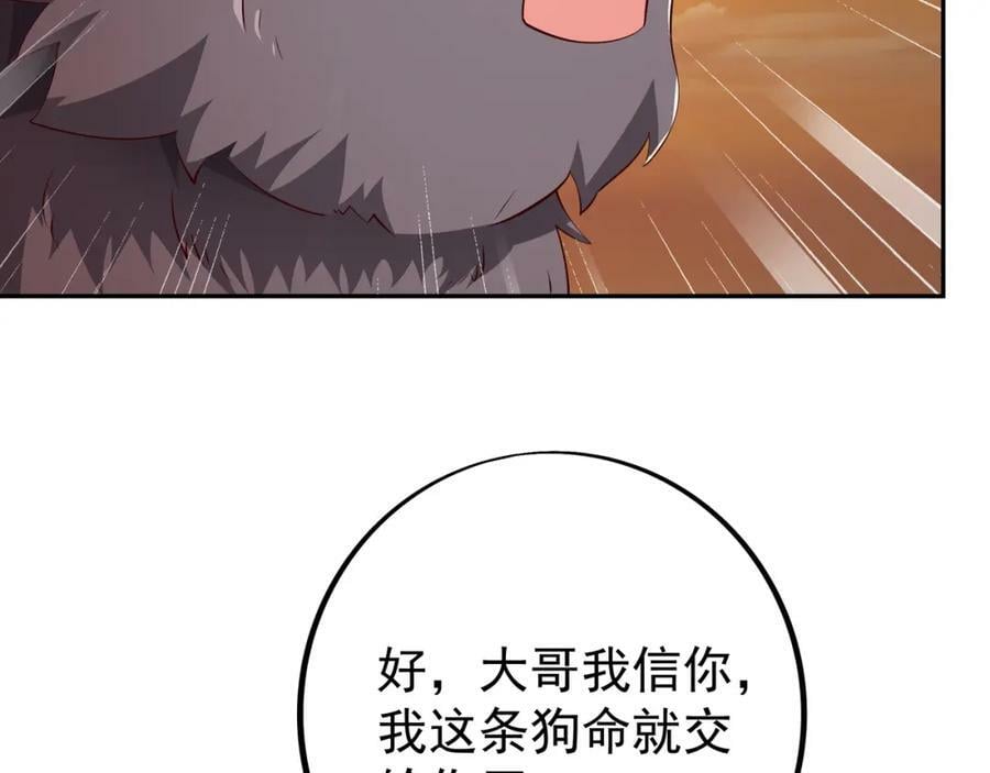 洞天之力40