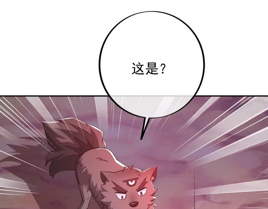 洞天之力11