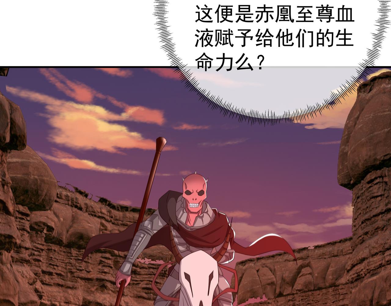 骷髅骑士48