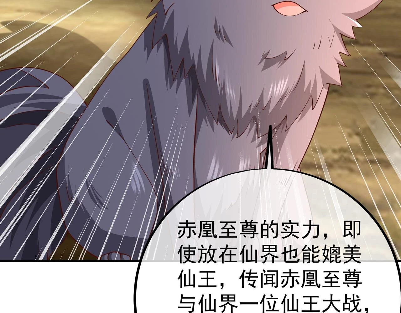 赤皇至尊16