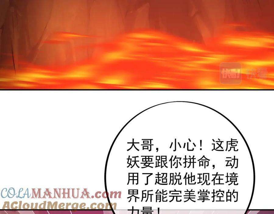 洞天之力15