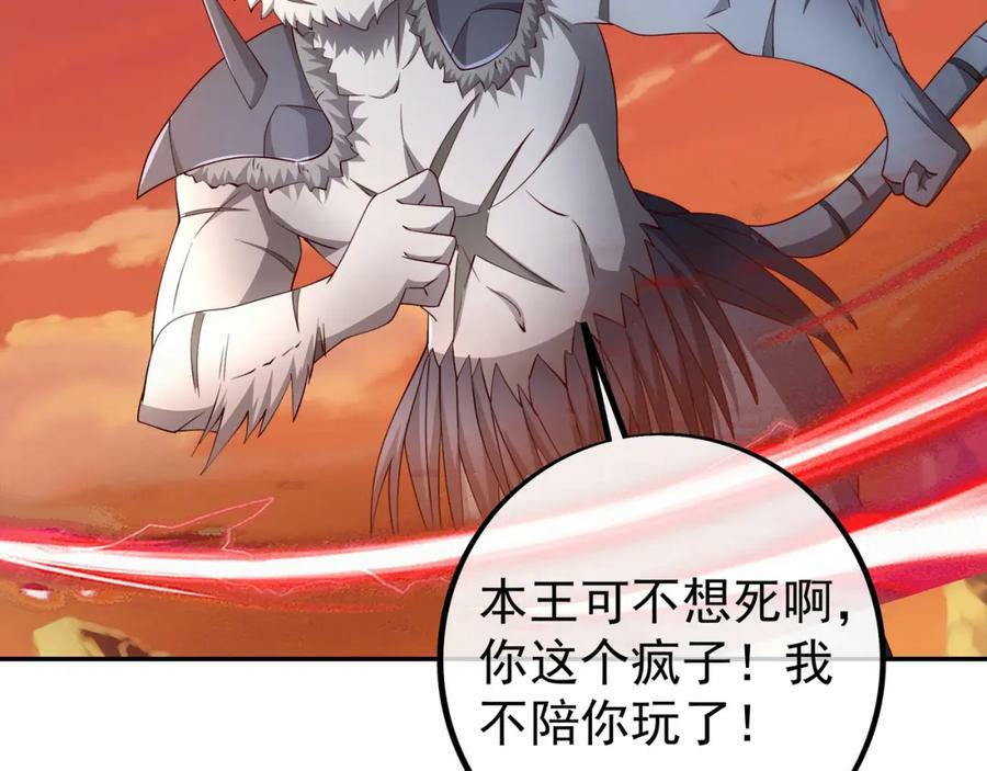 洞天之力50