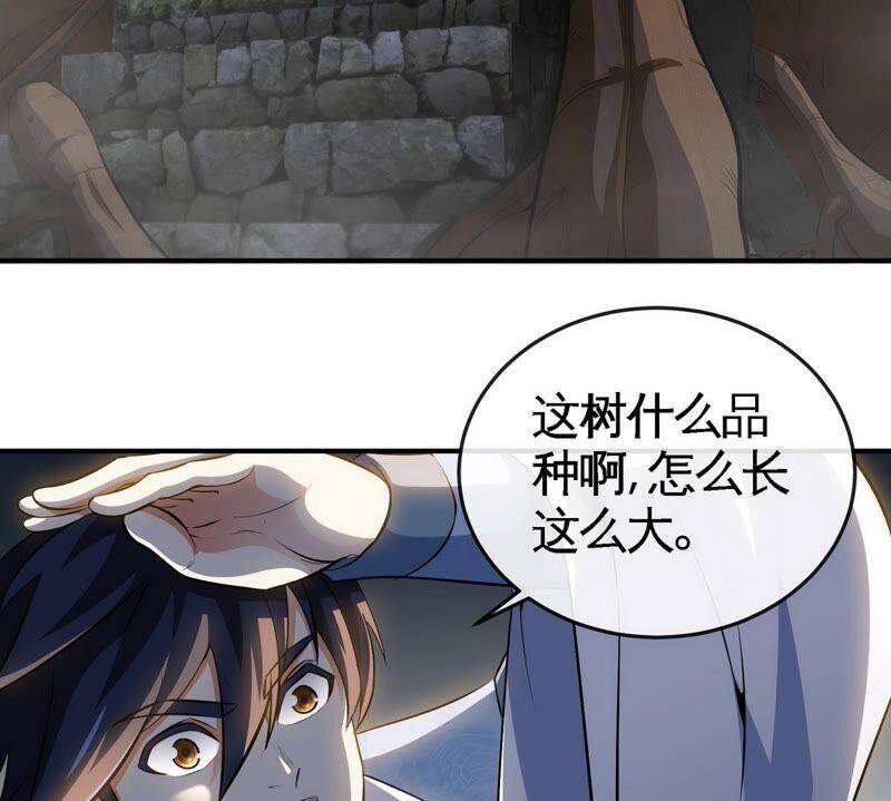 第21话 吞噬技能67