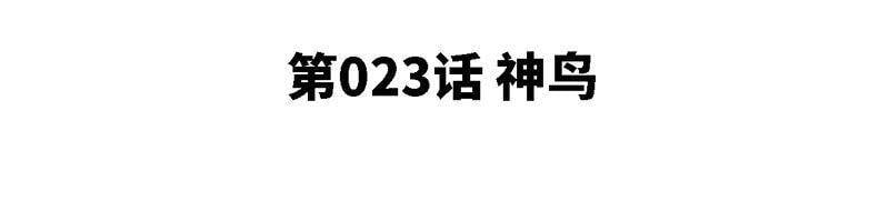 第23话 神鸟4