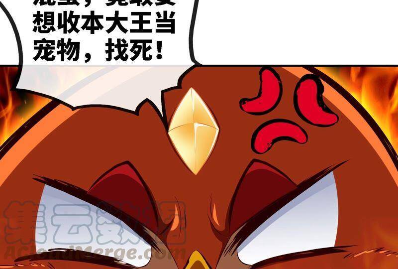 第23话 神鸟51