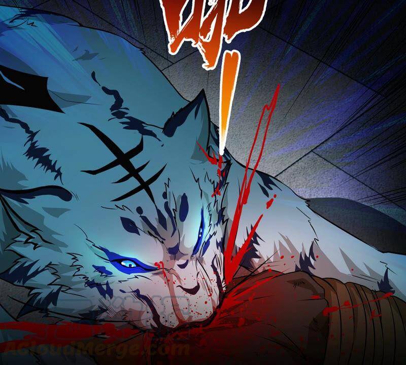 第3话 科学修仙81