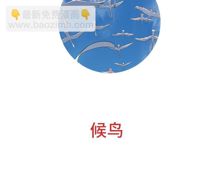 第1话 候鸟1