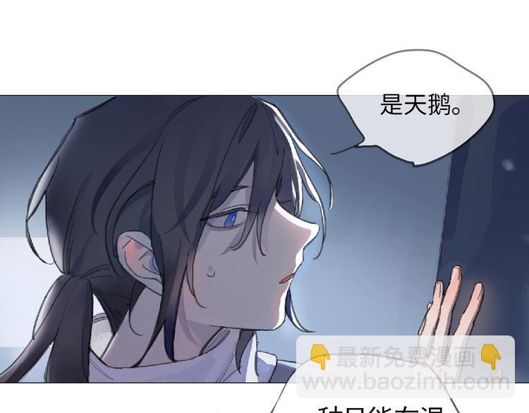 第1话 候鸟16