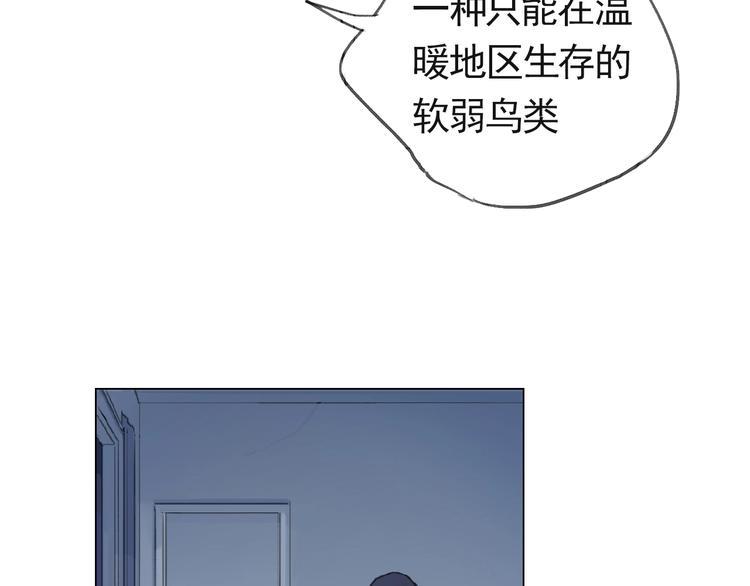 第1话 候鸟17