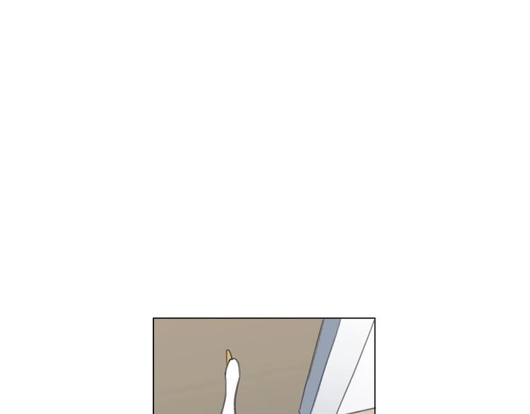 第1话 候鸟48