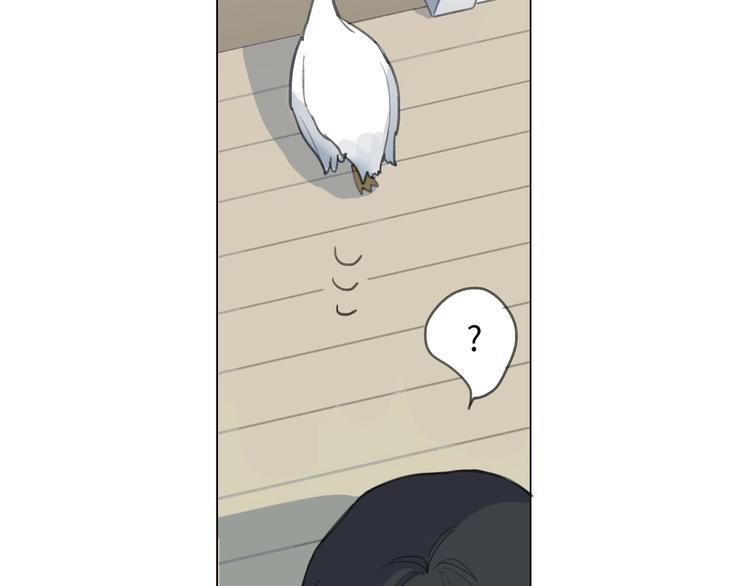 第1话 候鸟49