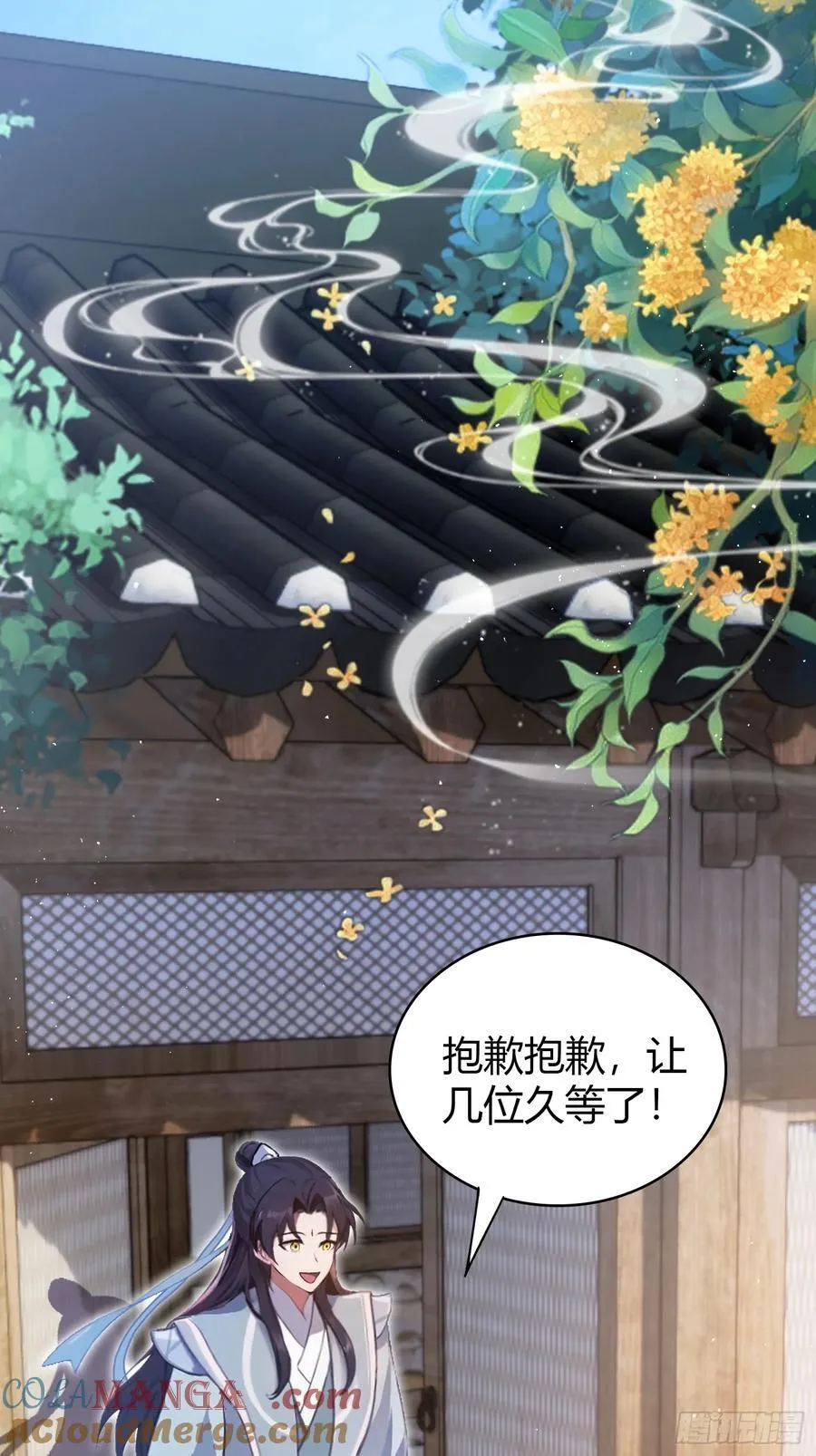 第26话 整片悟道叶泡的茶？3