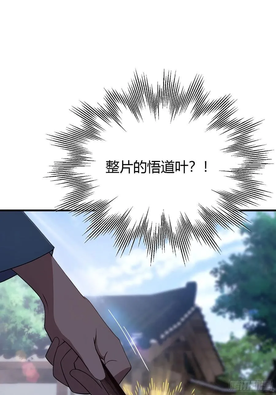 第26话 整片悟道叶泡的茶？26