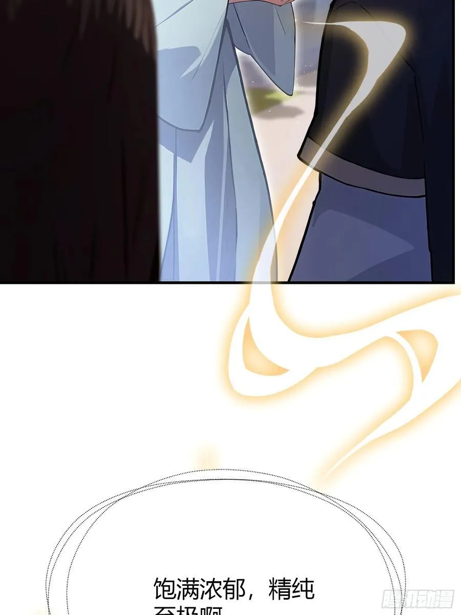 第26话 整片悟道叶泡的茶？31