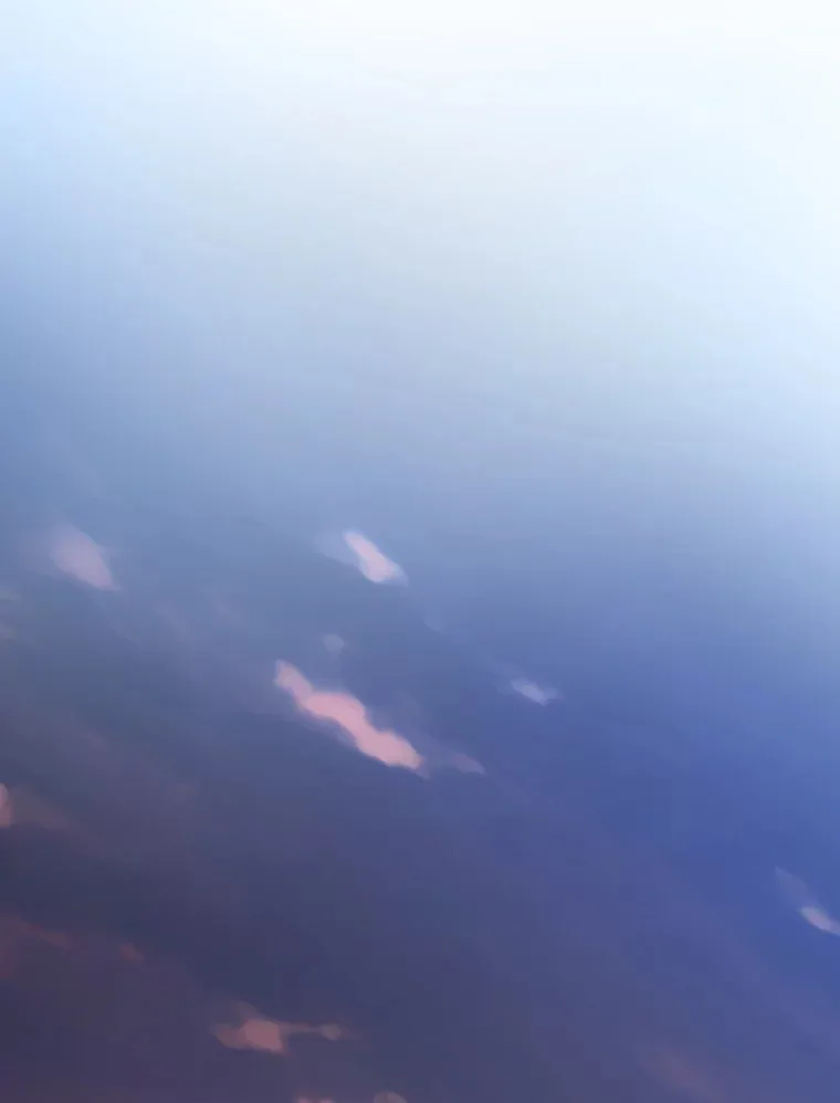25.“缜密”的计划77