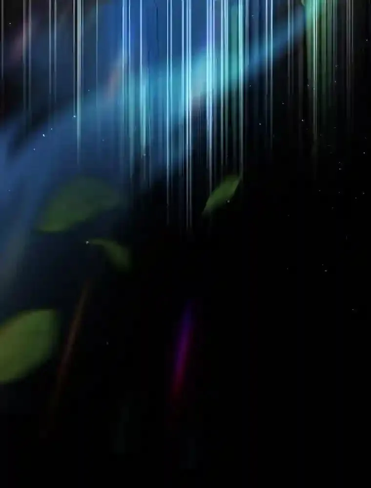 16.剑术教授119